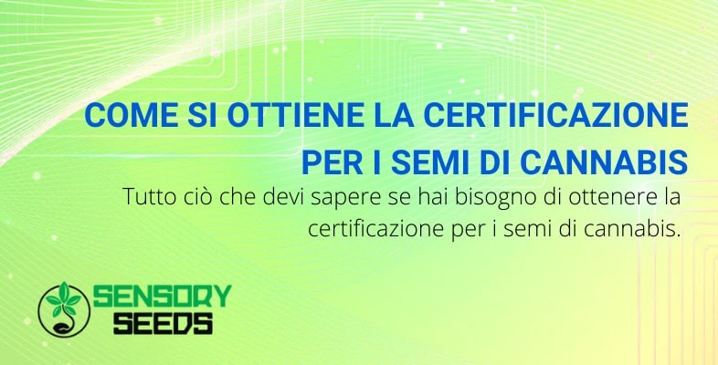 Come si ottiene la certificazione per i semi di cannabis