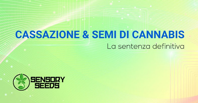sentenza cassazione semi di cannabis