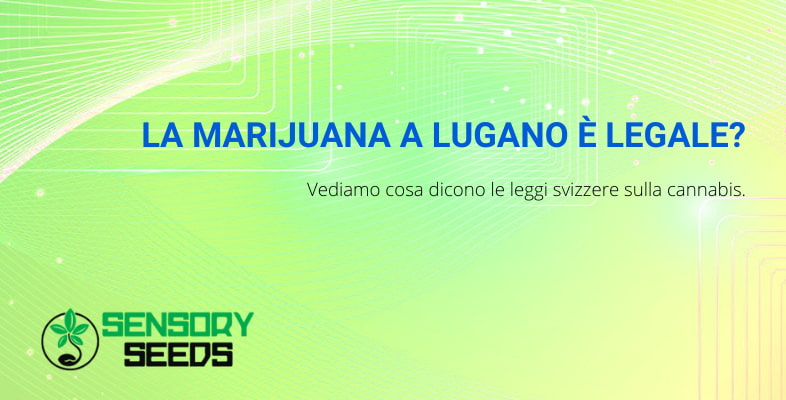 legge sulla Marijuana a Lugano