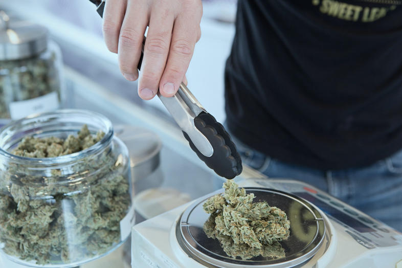 pesa dei semi di cannabis