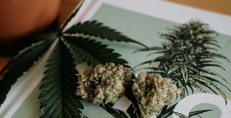 Semi di marijuana