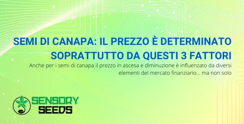 Semi di canapa: il prezzo è determinato soprattutto da questi 3 fattori.