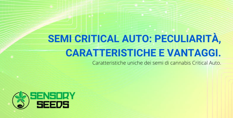 critical auto caratteristiche