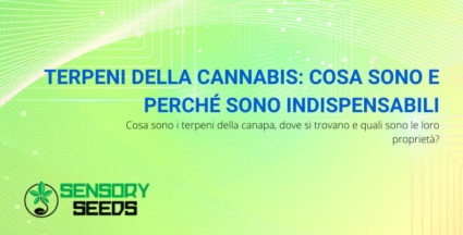 terpeni della cannabis