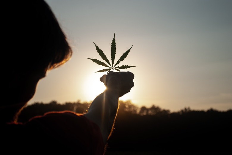 benefici terapeutici della cannabis