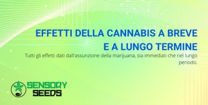 effetti della cannabis