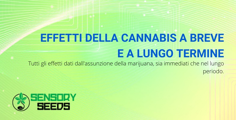 effetti della cannabis