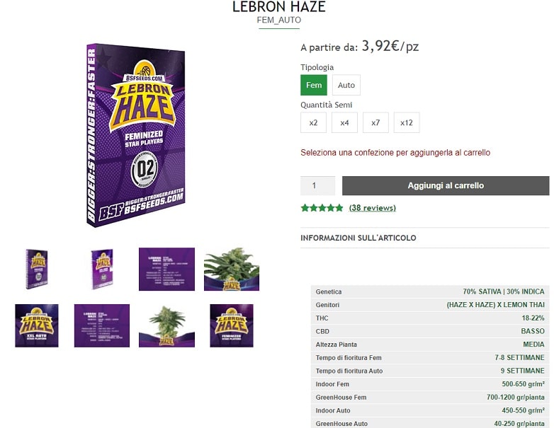 Lebron Haze Autofiorente