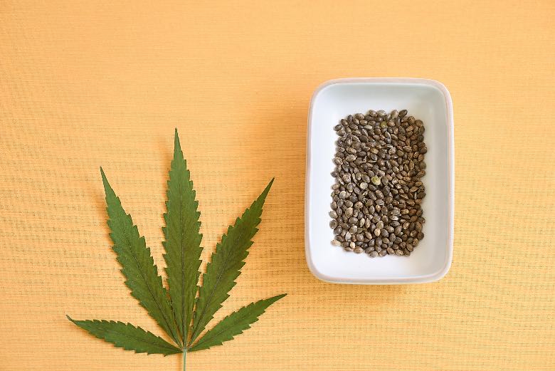 semi di cannabis autofiorenti di forma ovoidale