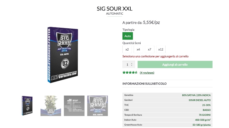 semi di sig sour xxl auto