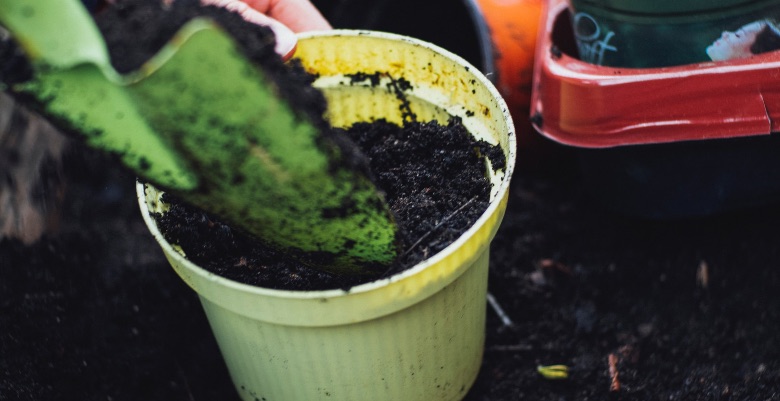 persona che aggiunge vermicompost al terriccio