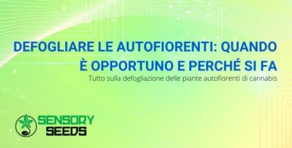 defogliare autofiorenti