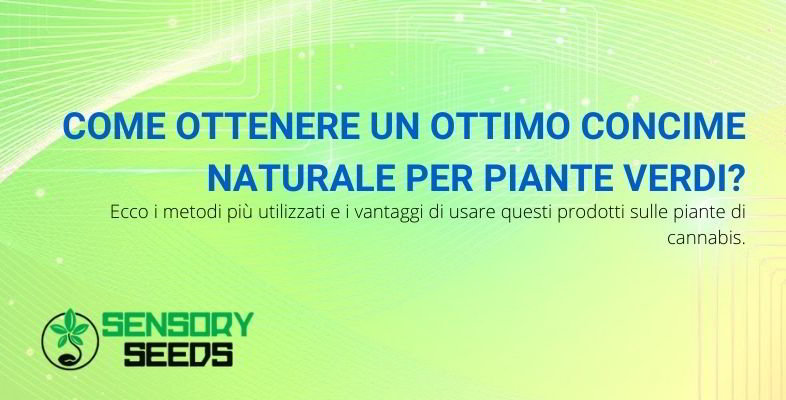 Come fare il concime naturale per piante verdi.