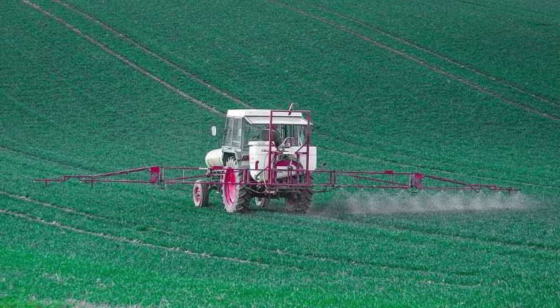 Diserbante: effetti sulla salute dell'uomo.