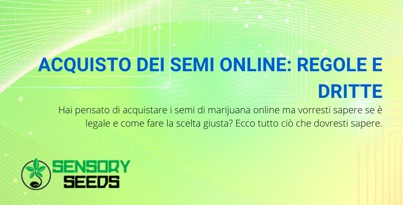acquisto semi online regole e dritte