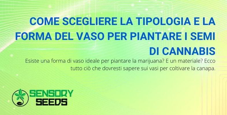 tipologia e forma del vaso per coltivare la canapa