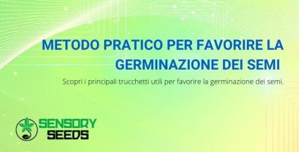 come favorire la germinazione dei semi