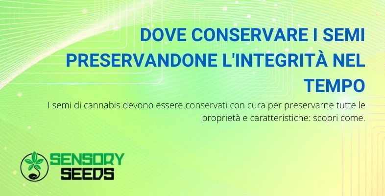 dove conservare i semi per preservarne l'integrità