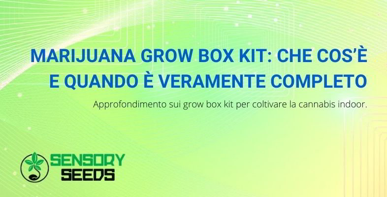 che cosa sono i marijuana grow box kit?