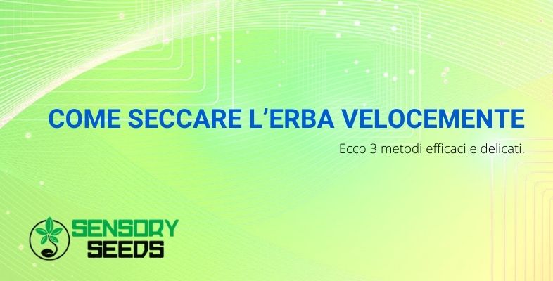 come seccare erba velocemente