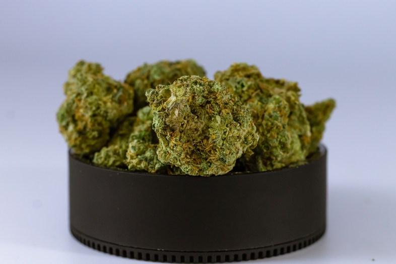 Preannunciato futuro florido per commercianti di prodotti derivati dalla cannabis