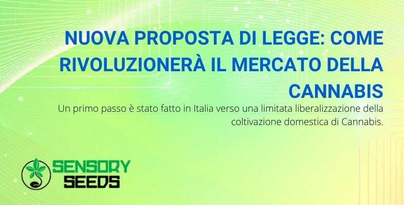 Quello che potrebbe cambiare nel mercato della cannabis con la nuova proposta di legge.