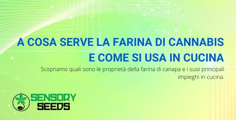 farina di cannabis usi in cucina