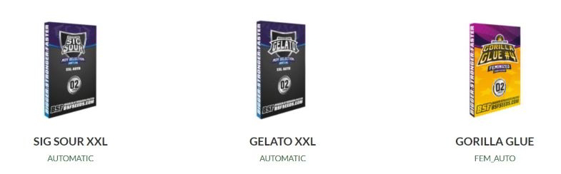 semi autofiorenti da collezione