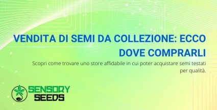 vendita semi da collezione