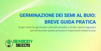 germinazione dei semi al buio