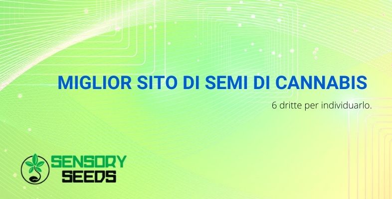 miglior sito di semi di cannabis