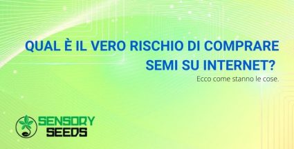 rischio di comprare semi su internet