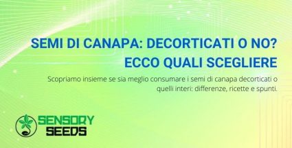 semi di canapa decorticati o no