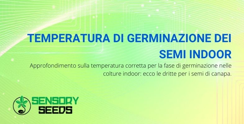 temperatura di germinazione dei semi indoor