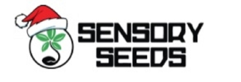 Acquistare semi di marijuana certificati sul sito Sensoryseeds