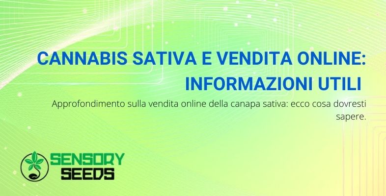 cannabis sativa e vendita online