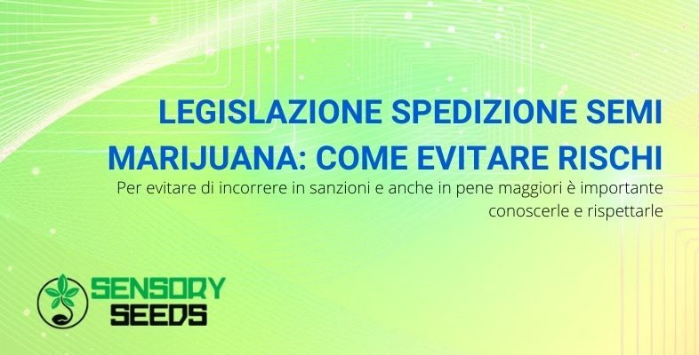Conoscere e rispettare la legislazione sulla spedizione di semi marijuana