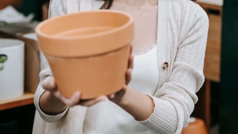 vaso di terracotta da 19 cm