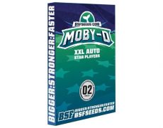 Moby-D xxl auto semi di cannabis