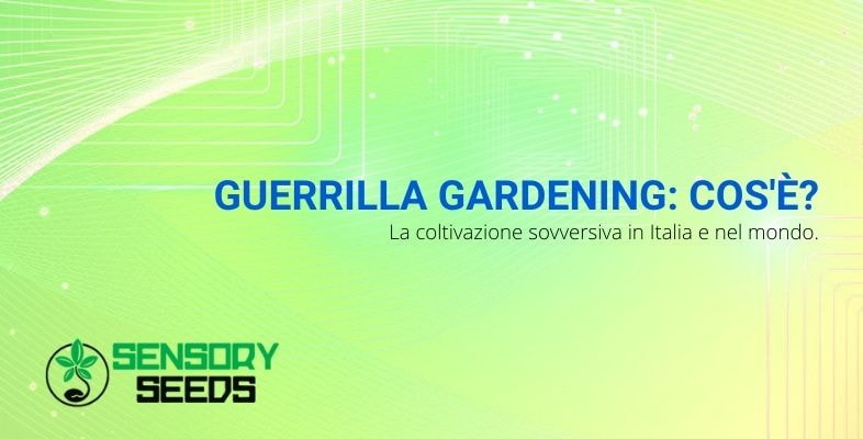 Che cos'è il Guerrilla Gardening