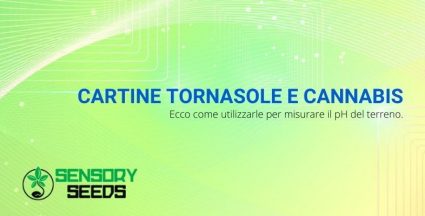 Le cartine tornasole e il ph del terreno per la cannabis