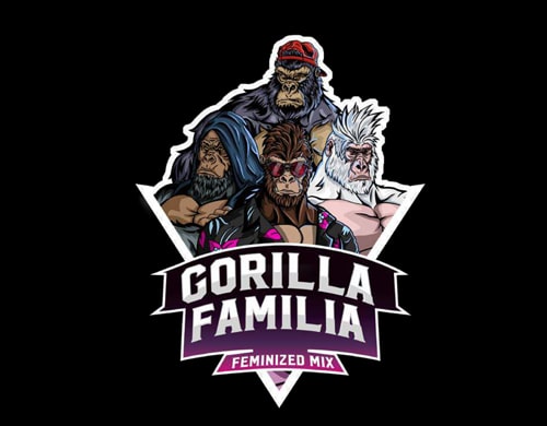 confezione-semi-di-cannabis-gorilla-familia-kit