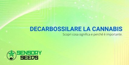 Cosa significa decarbossilare la cannabis?