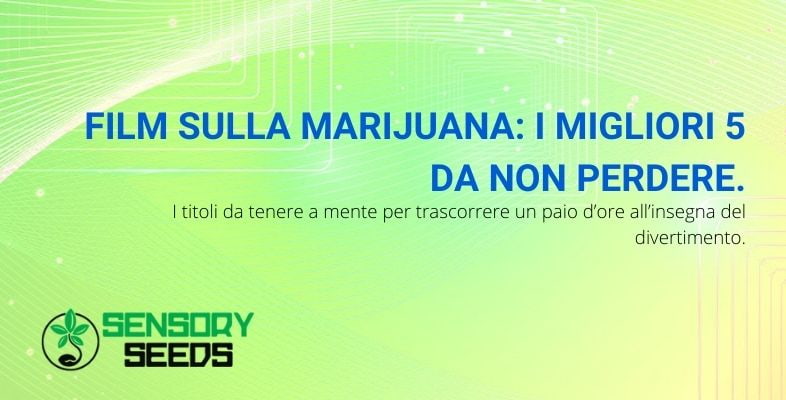 I 5 migliori film sulla marijuana