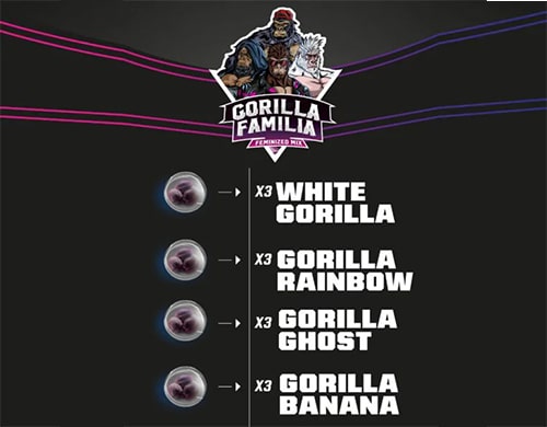 semi-di-cannabis-femminizzati-gorilla-familia-kit
