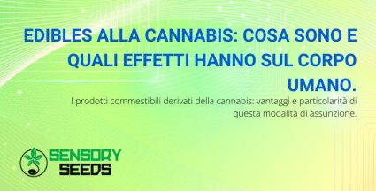 Cosa sono e gli effetti degli edibles alla cannabis