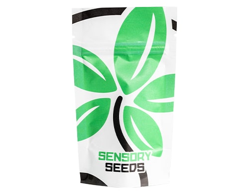 packaging-semi-di-cannabis-girl-scout-cookies