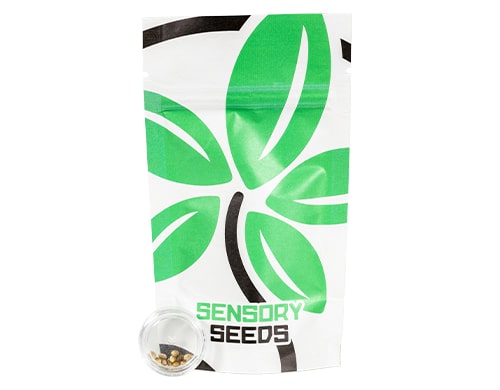 semi-di-cannabis-space-mango