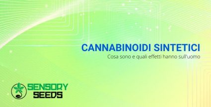 Cannabinoidi sintetici