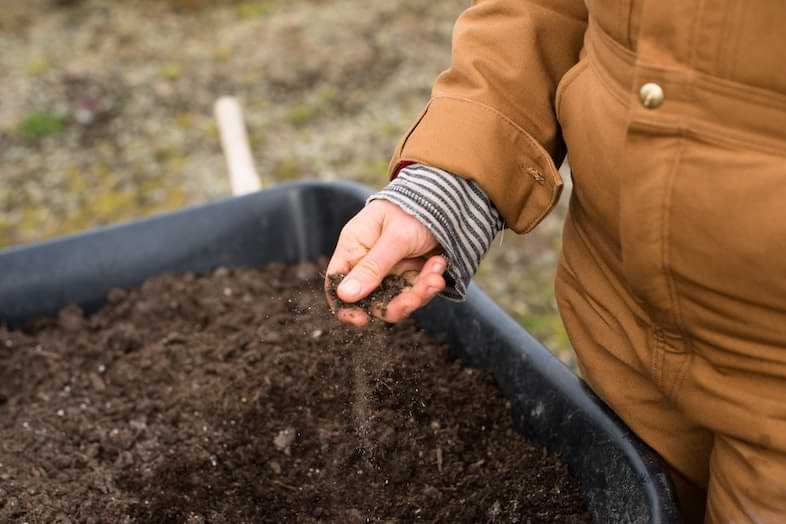 Nutrienti per la canapa